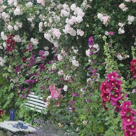 Hofblick Gospodarstwo agroturystyczne Pommerby (Gelting)