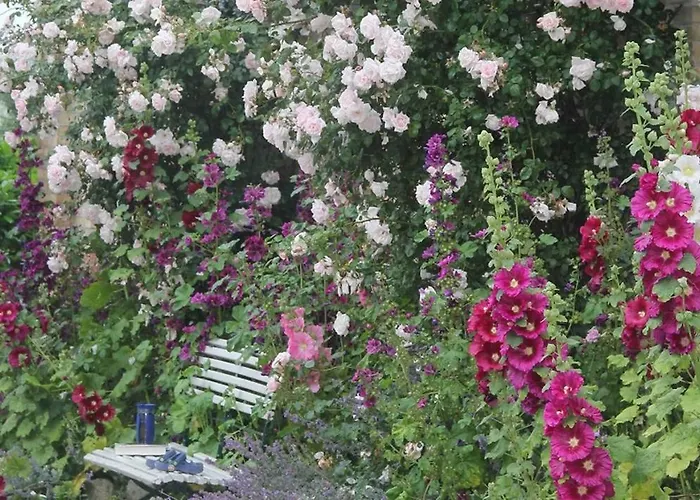 Hofblick Alojamento de Turismo Rural Pommerby (Gelting)